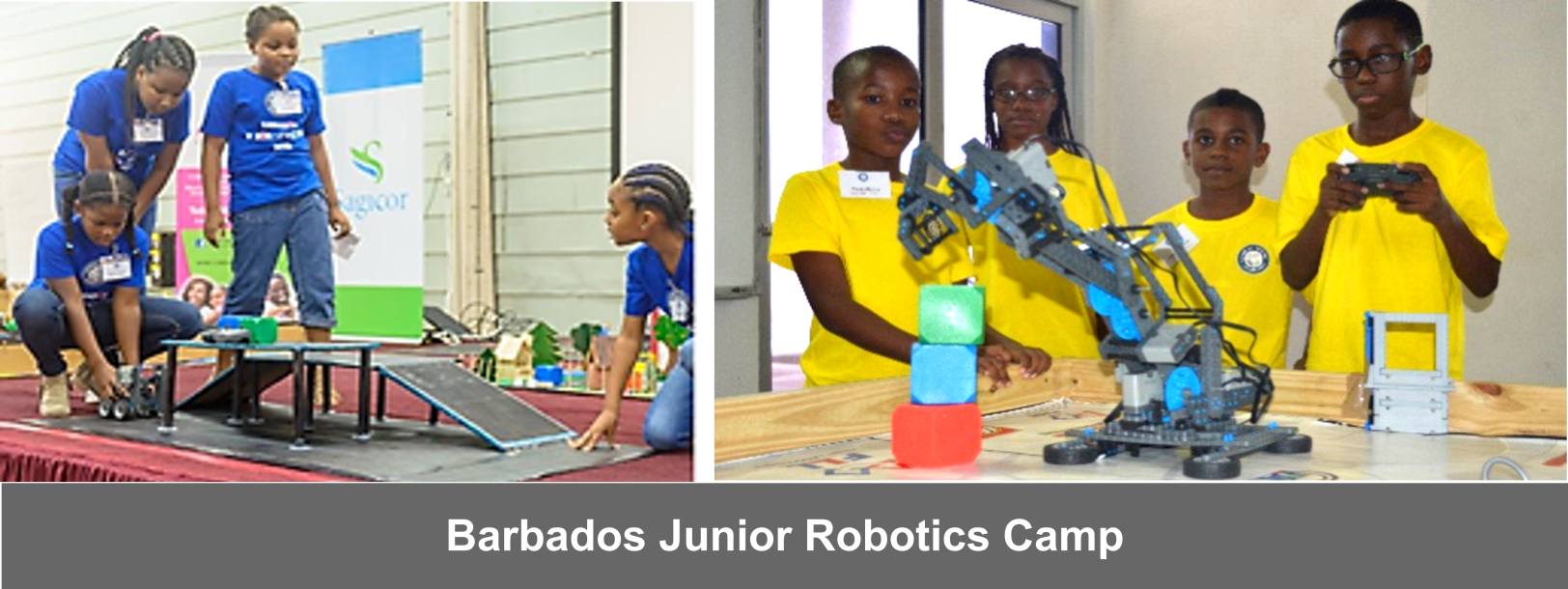 BJRC Montage with Caption (for website) rev